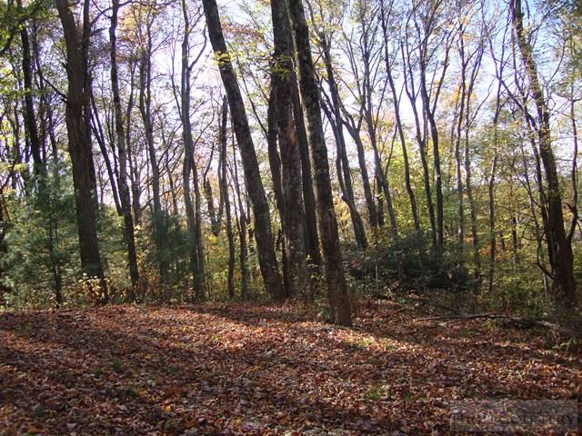Hidden Springs Road West Jefferson, NC 28694 - Photo 3 of 7