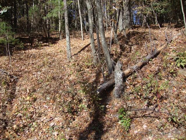Hidden Springs Road West Jefferson, NC 28694 - Photo 5 of 7