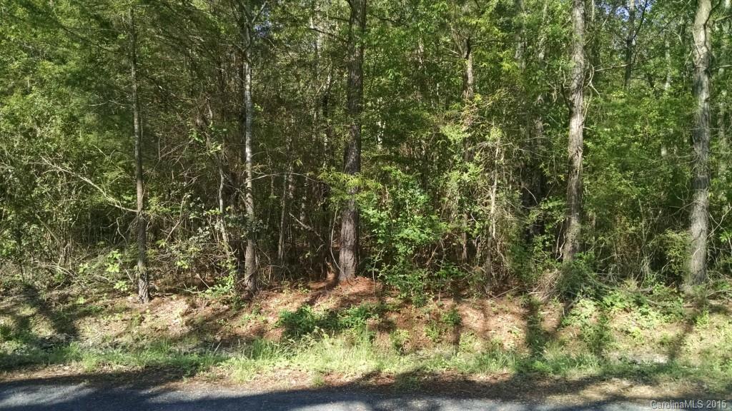 0 Shaw Road Troy, NC 27371 - Photo 1 of 3 Gallery Image 1