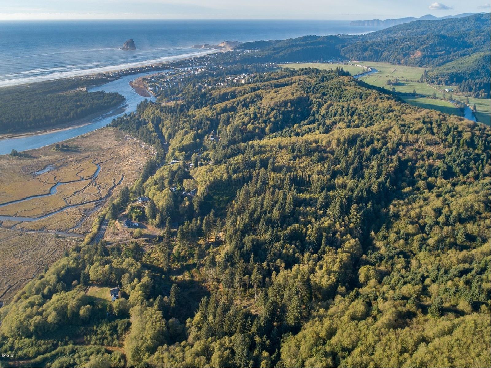 313 Brooten Road Pacific City, OR 97135 - Photo 2 of 5 Brooten hill aerial