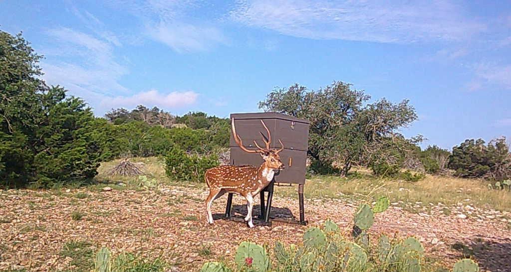 Lot 1 Northwest Nw Highway Rocksprings, TX 78880 - Photo 30 of 30