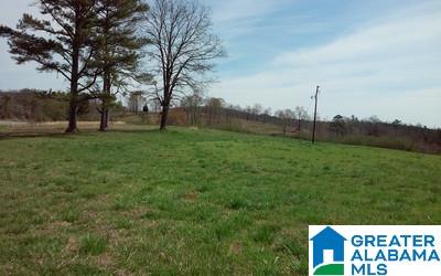 40 County Road, Unit 11 Woodland, AL 36280 - Photo 1 of 6