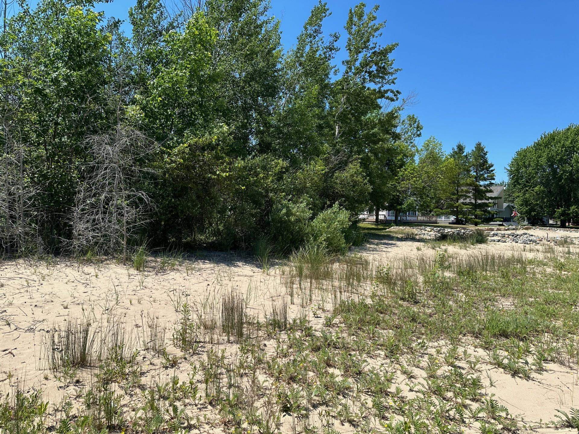 0 Ridge Road Black River, MI 48721 - Photo 6 of 12 Gallery Image 6