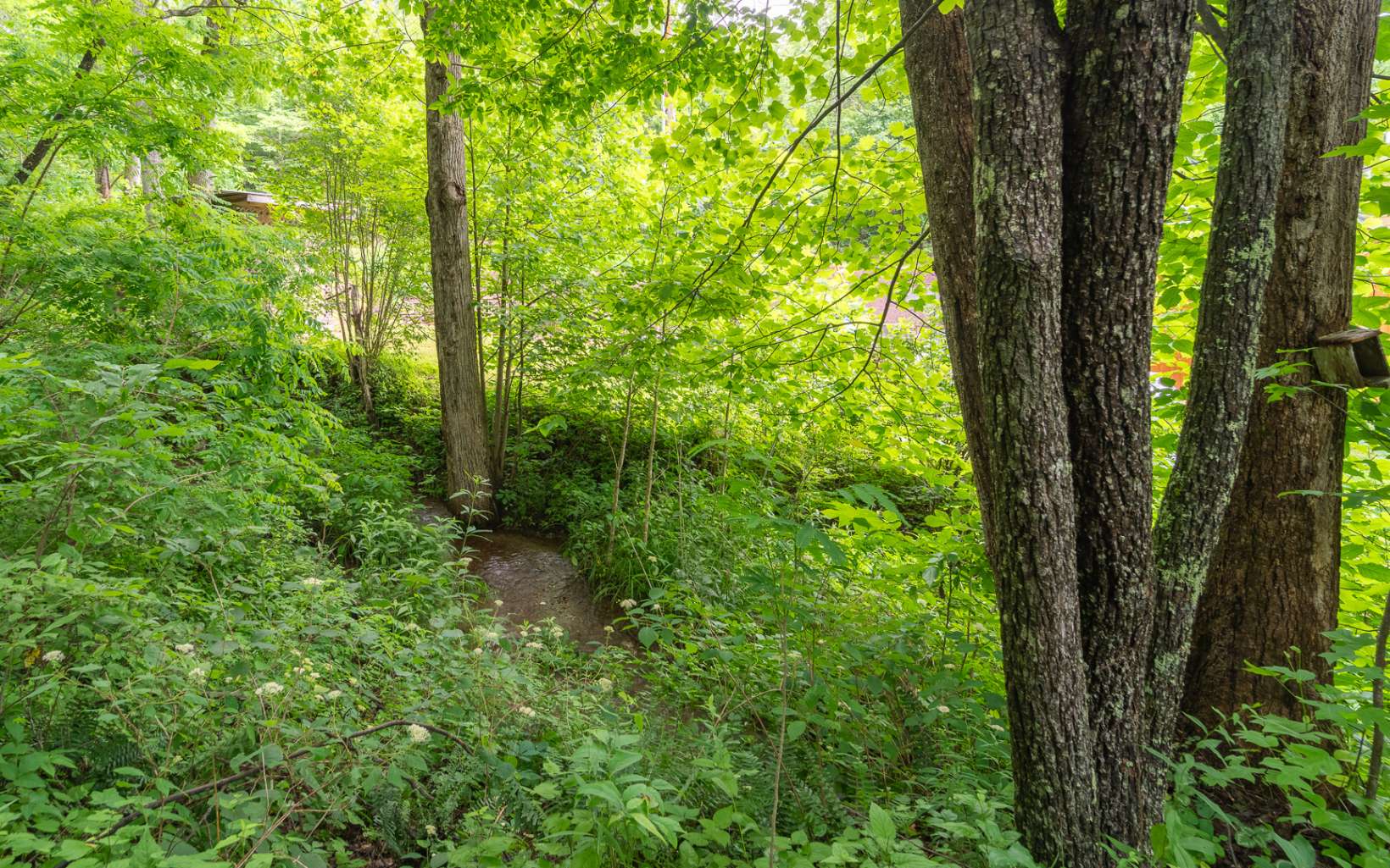 1025 Bill Barker Road Murphy, NC 28906 - Photo 11 of 50 Additional View