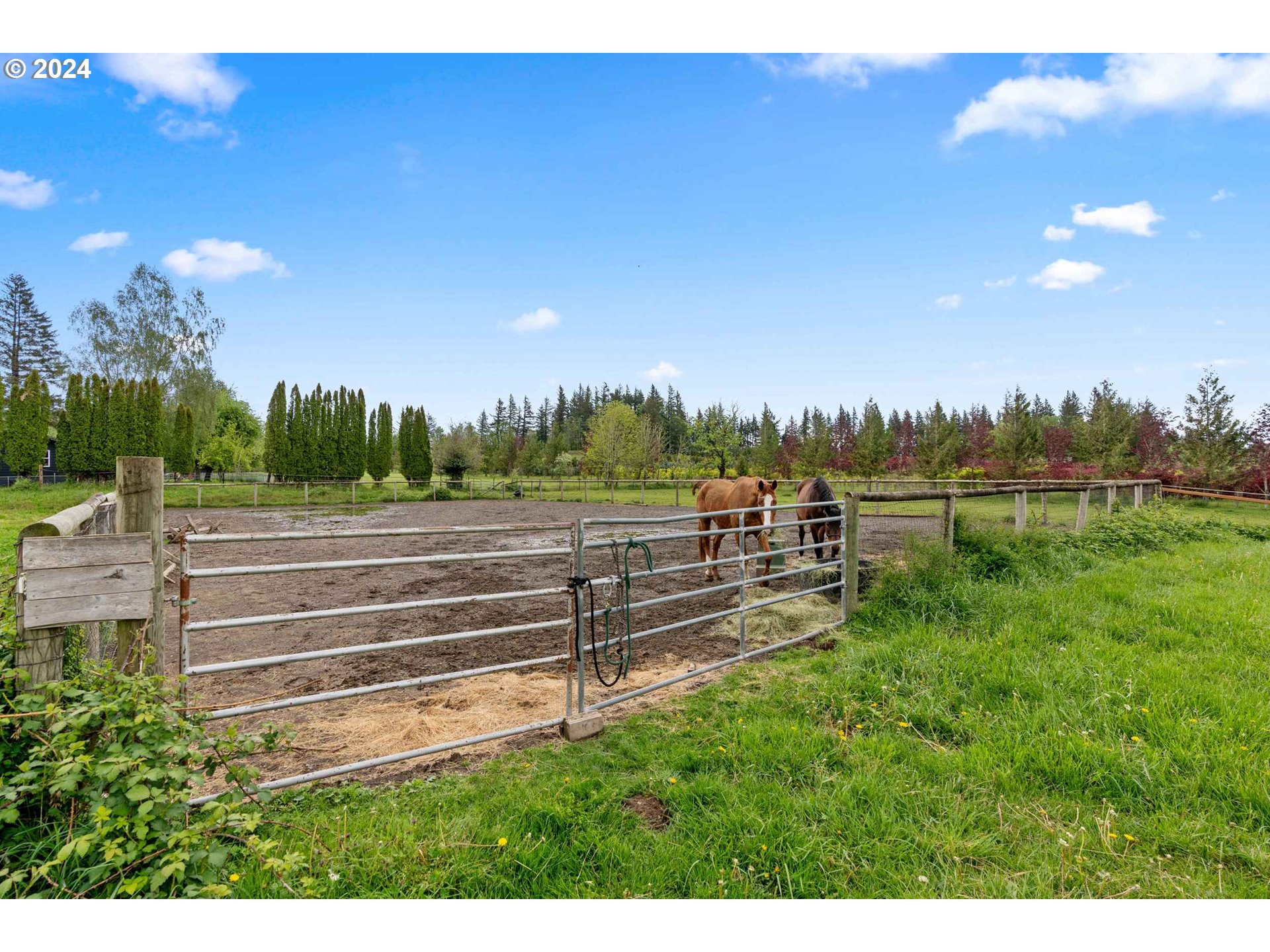 33820 Southeast Hurlburt Road Corbett, OR 97019 - Photo 32 of 43 Gallery Image 32