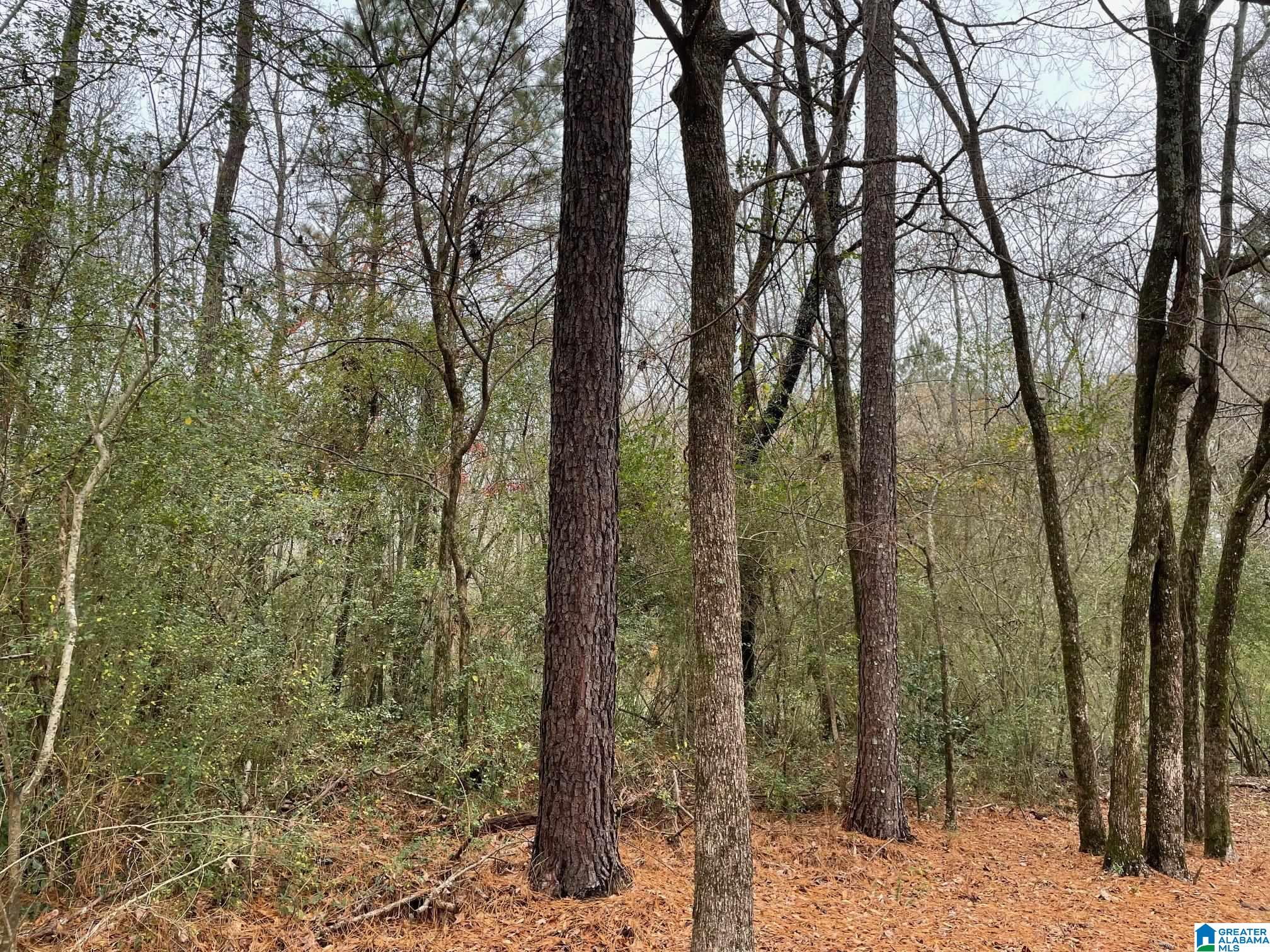 Roberta Road, Unit 14 Birmingham, AL 35214 - Photo 3 of 10 Gallery Image 3