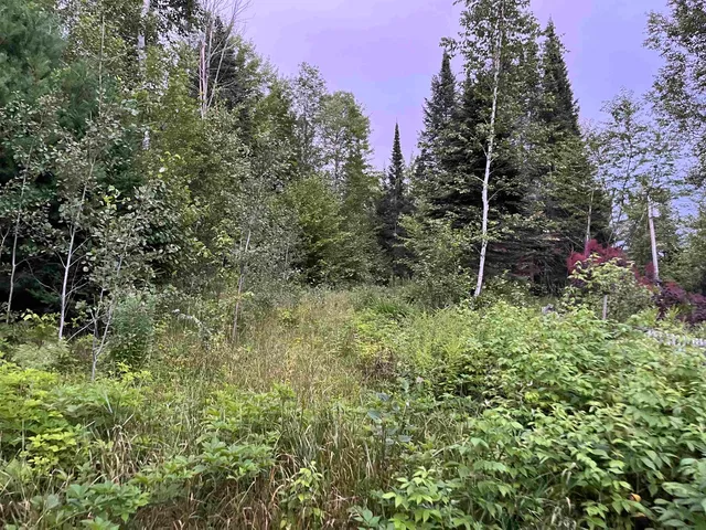 $74,900 | 125 McConnell Pond Road, Brighton, VT 05846