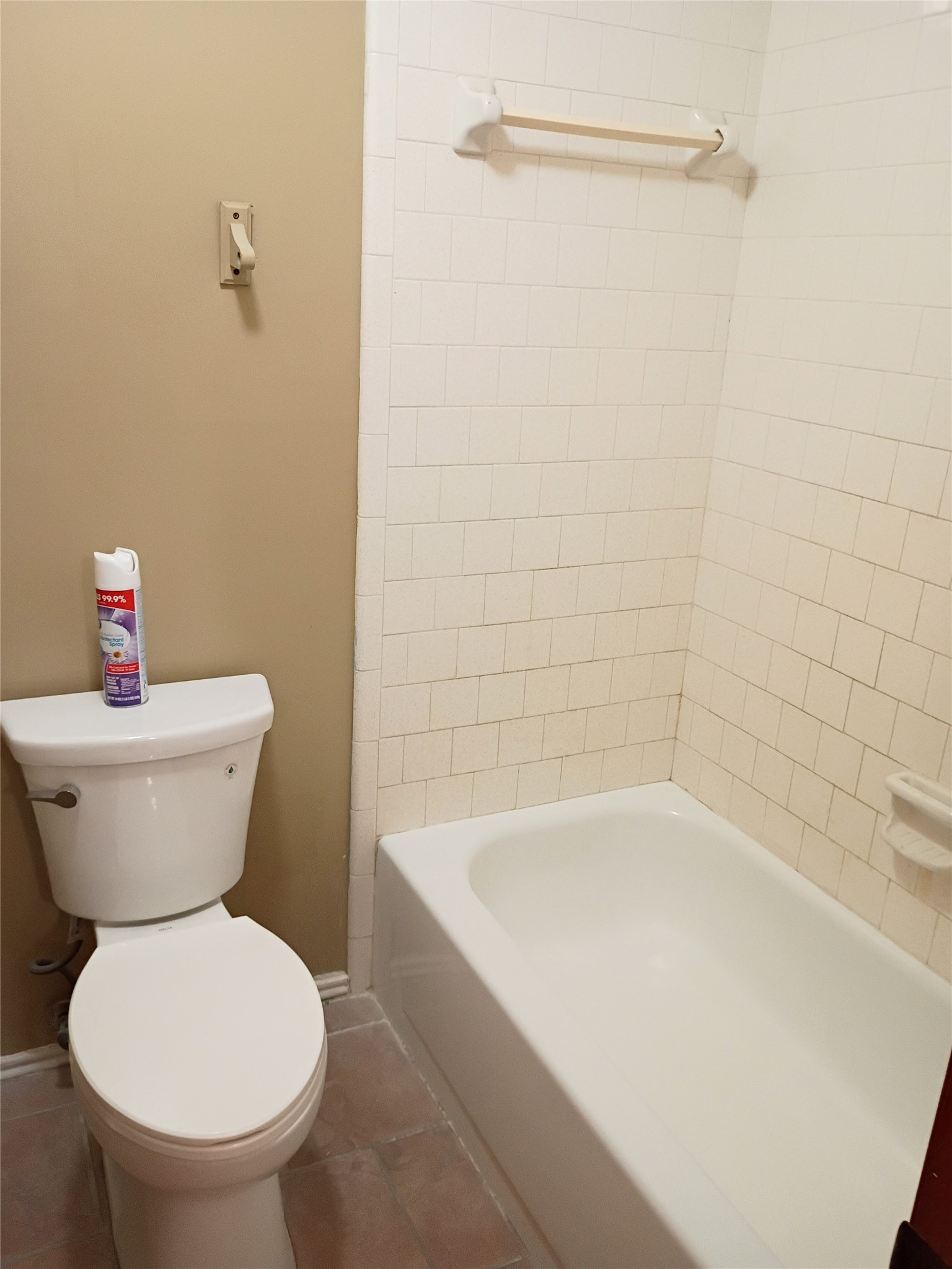 21406 Golden Dove Drive Spring, TX 77388 - Photo 6 of 29