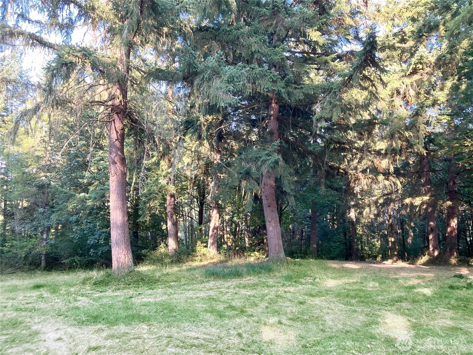 193 Crego Ridge Road Chehalis, WA 98532 - Photo 31 of 31 a backyard of a house with lots of green space