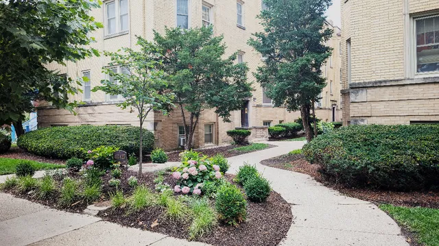 a view of a garden with plants