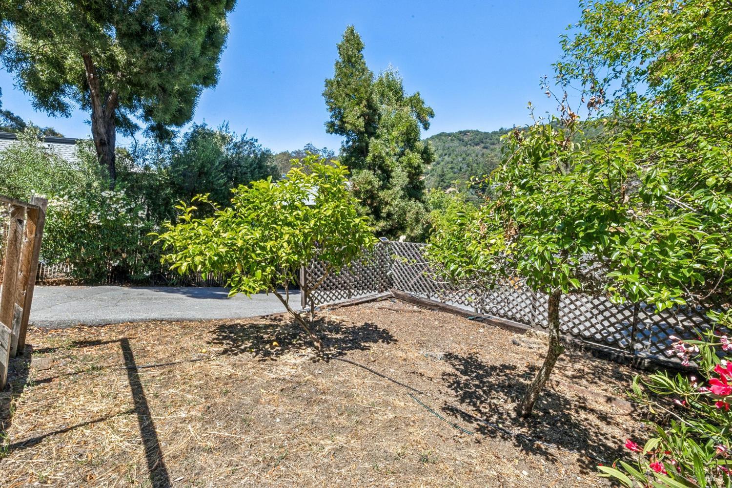 280 Prospect Drive San Rafael, CA 94901 - Photo 28 of 32