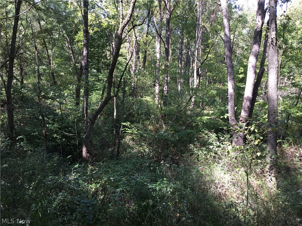 Stony Point Road Dover, OH 44622 - Photo 3 of 19 Gallery Image 3