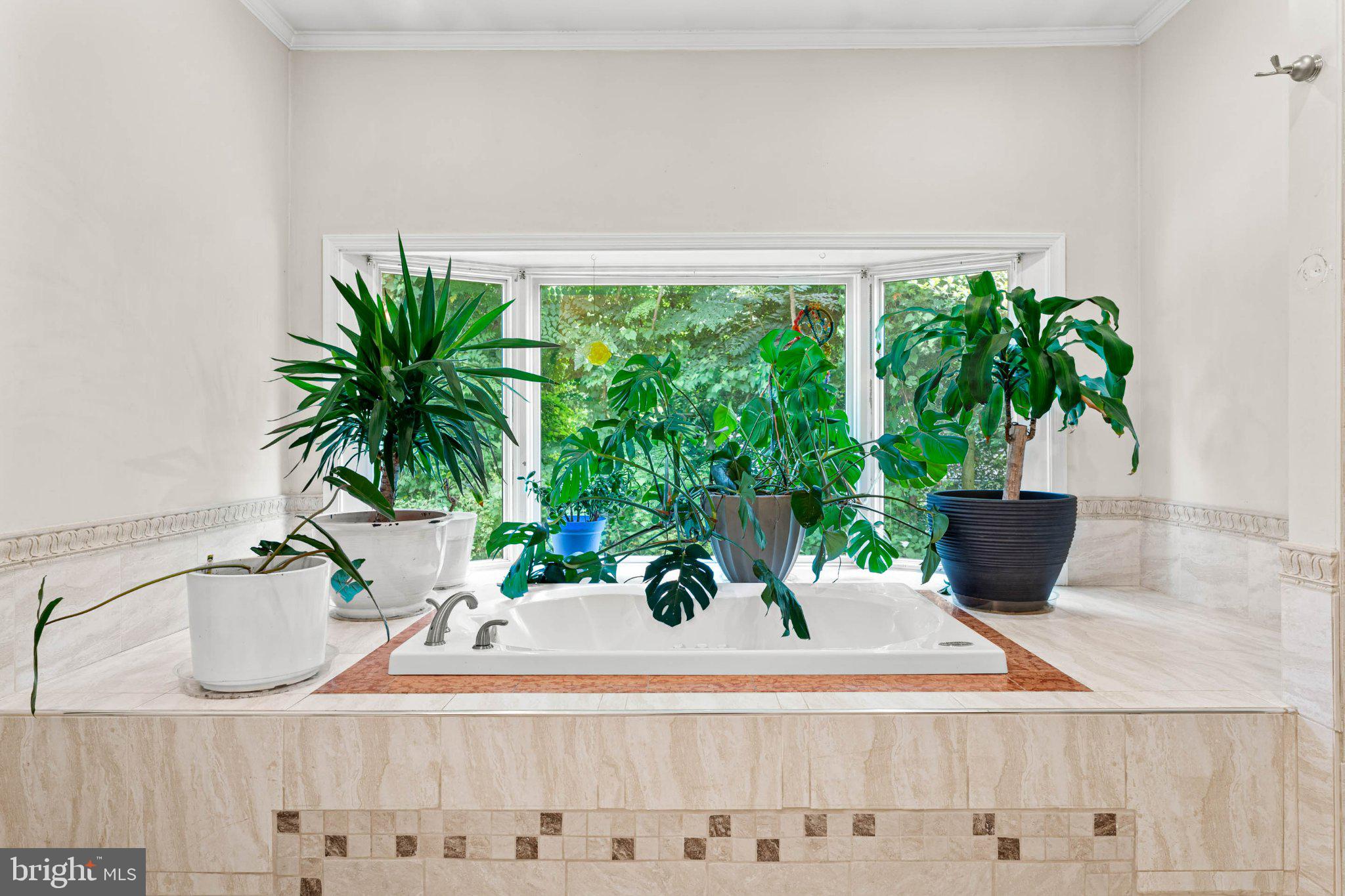 1162 Dewitt Road Wayne, PA 19087 - Photo 31 of 49 Serene spa-like retreat with greenery.