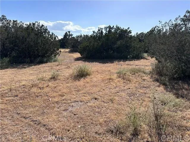 a view of a snow in the yard