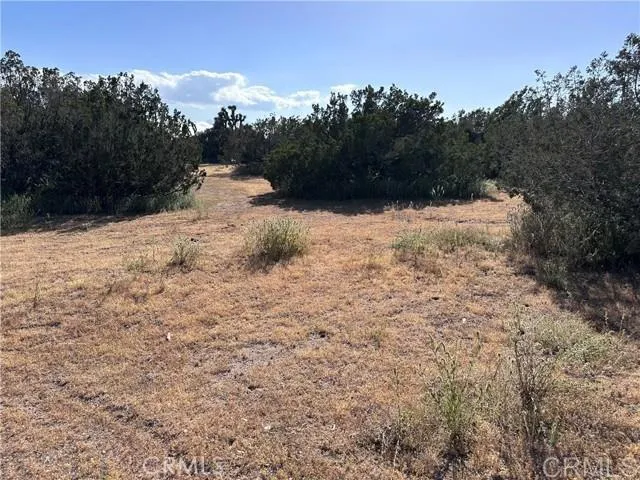 Daisy Irvine, CA 92618 - Photo 2 of 3 a view of a snow in the yard