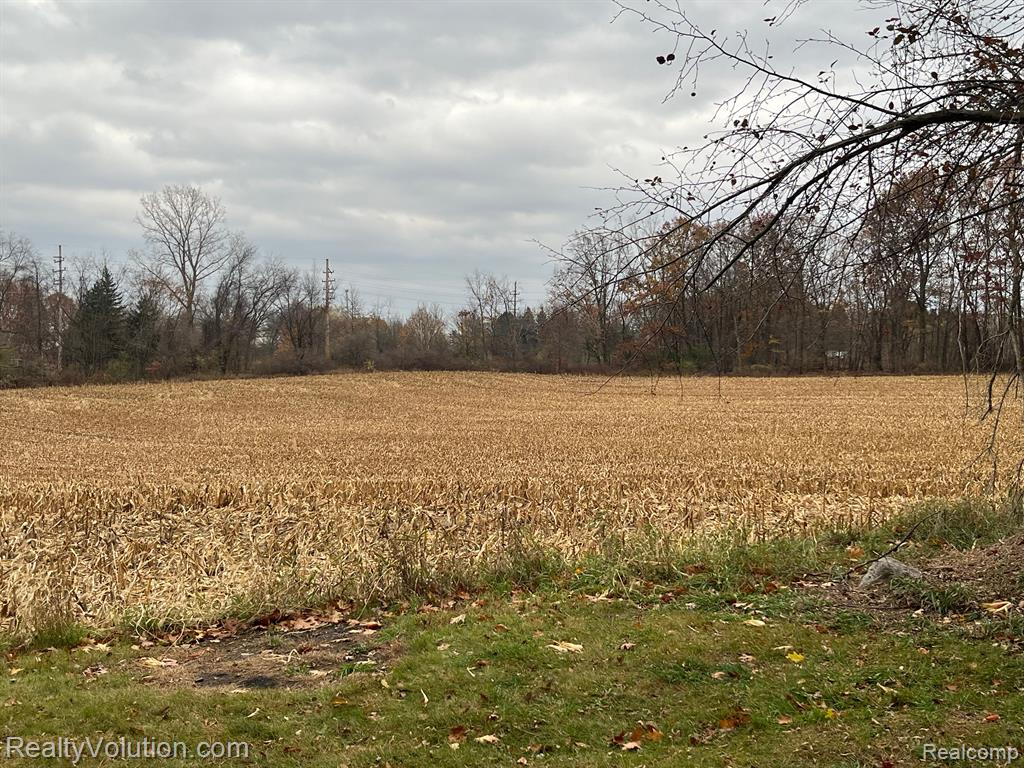 131 Turrill Road Lapeer, MI 48446 - Photo 15 of 19