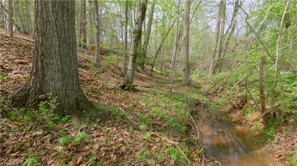 3 Thomas Farm Road King, NC 27021 - Photo 11 of 18