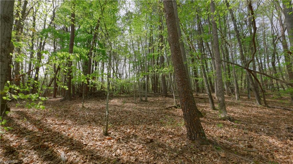 3 Thomas Farm Road King, NC 27021 - Photo 12 of 18