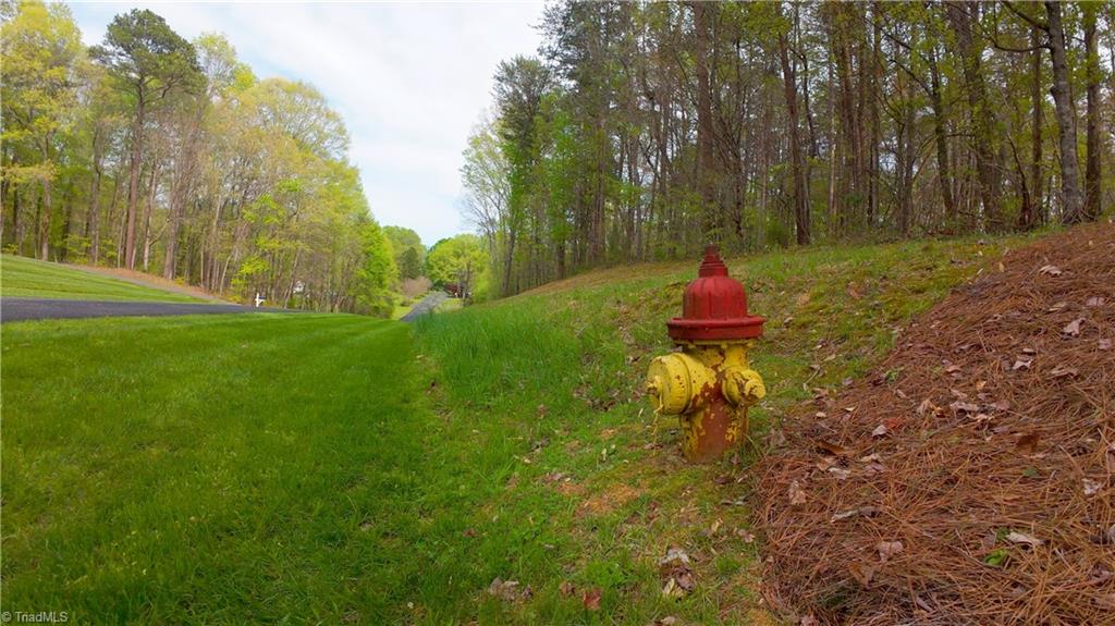 3 Thomas Farm Road King, NC 27021 - Photo 14 of 18