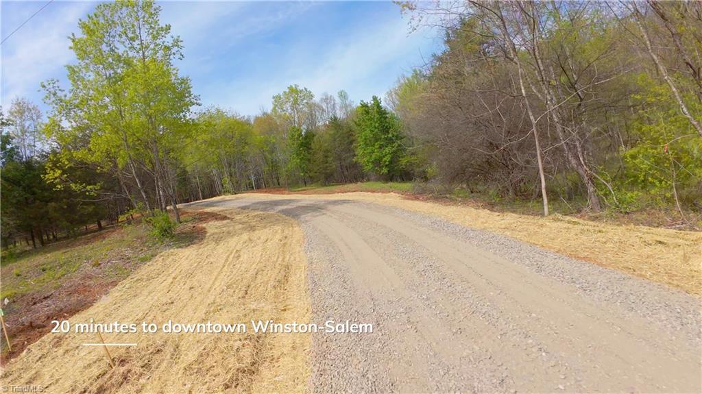 3 Thomas Farm Road King, NC 27021 - Photo 2 of 18