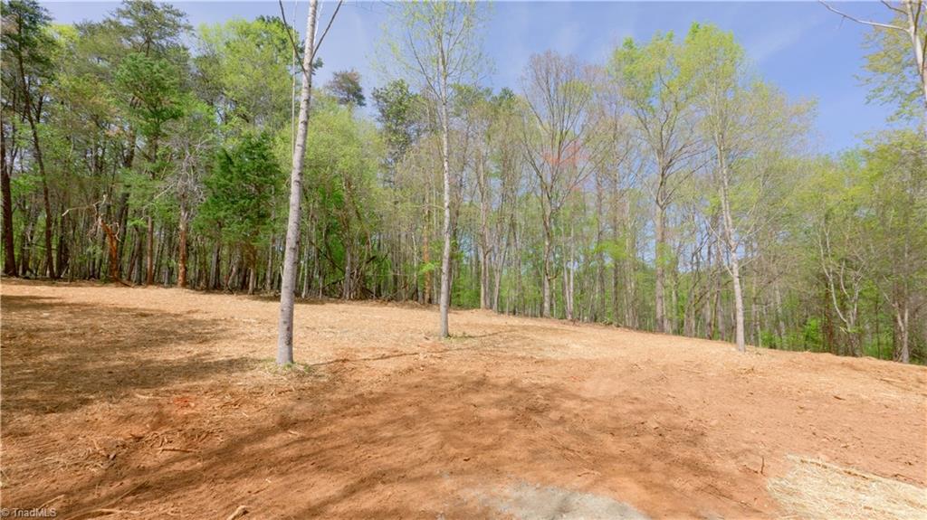 3 Thomas Farm Road King, NC 27021 - Photo 7 of 18