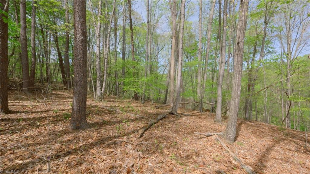 3 Thomas Farm Road King, NC 27021 - Photo 9 of 18