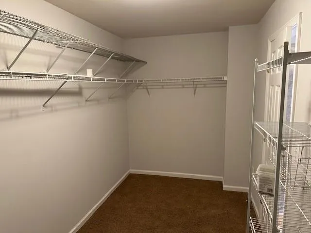 a bathroom with a shower and a glass door