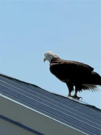 $2,999,999 | 1905 Mississippi Avenue, Englewood, FL 34224