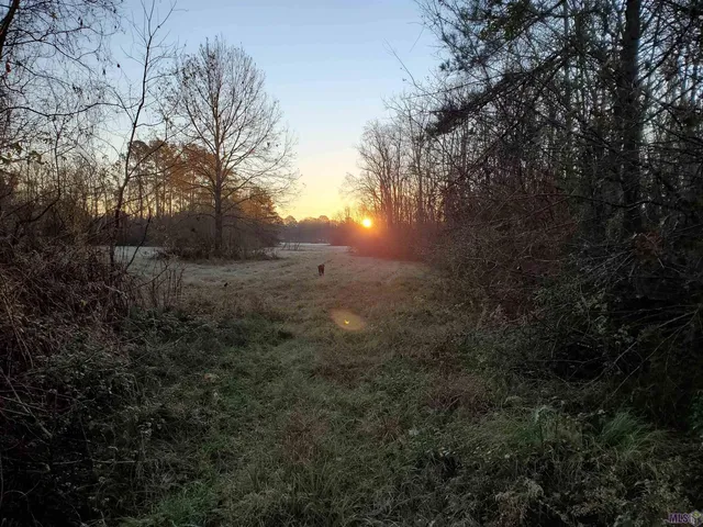 $235,000 | 23611 Riley Road, Pride, LA 70770