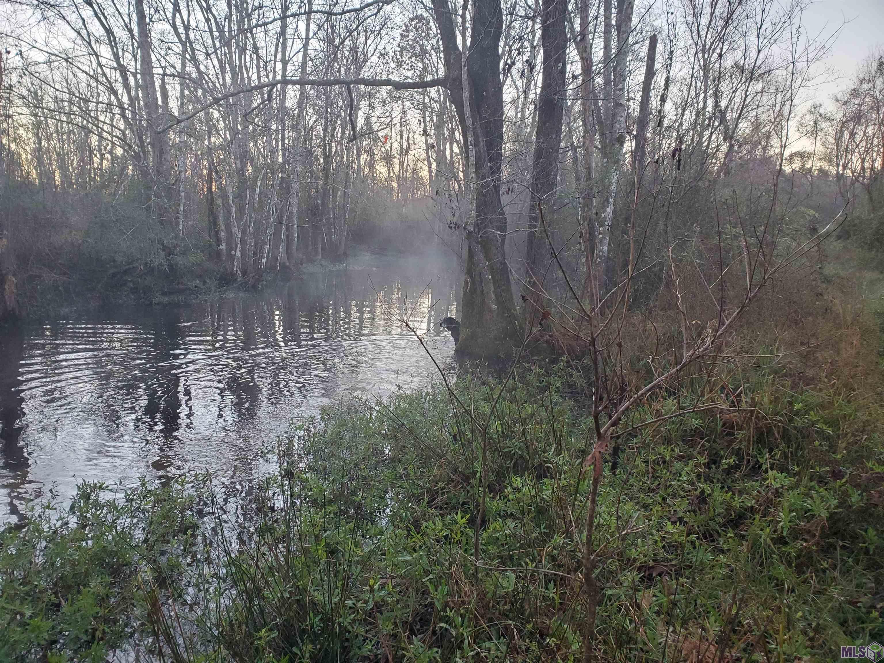 23611 Riley Road Pride, LA 70770 - Photo 23 of 24