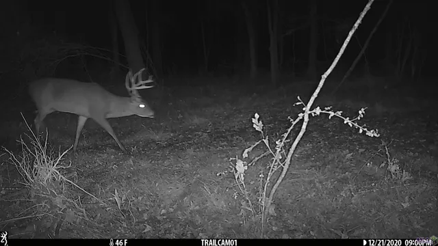 $235,000 | 23611 Riley Road, Pride, LA 70770