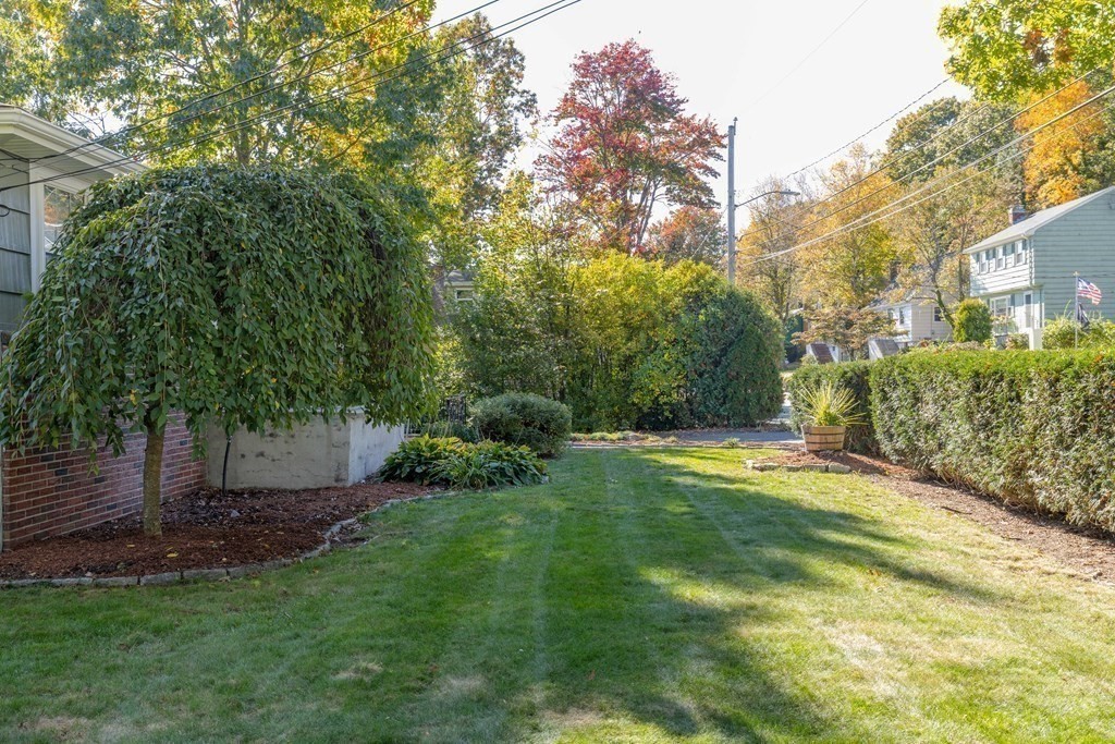 36 Gainsville Road Dedham, MA 02026 - Photo 8 of 30 Gallery Image 8