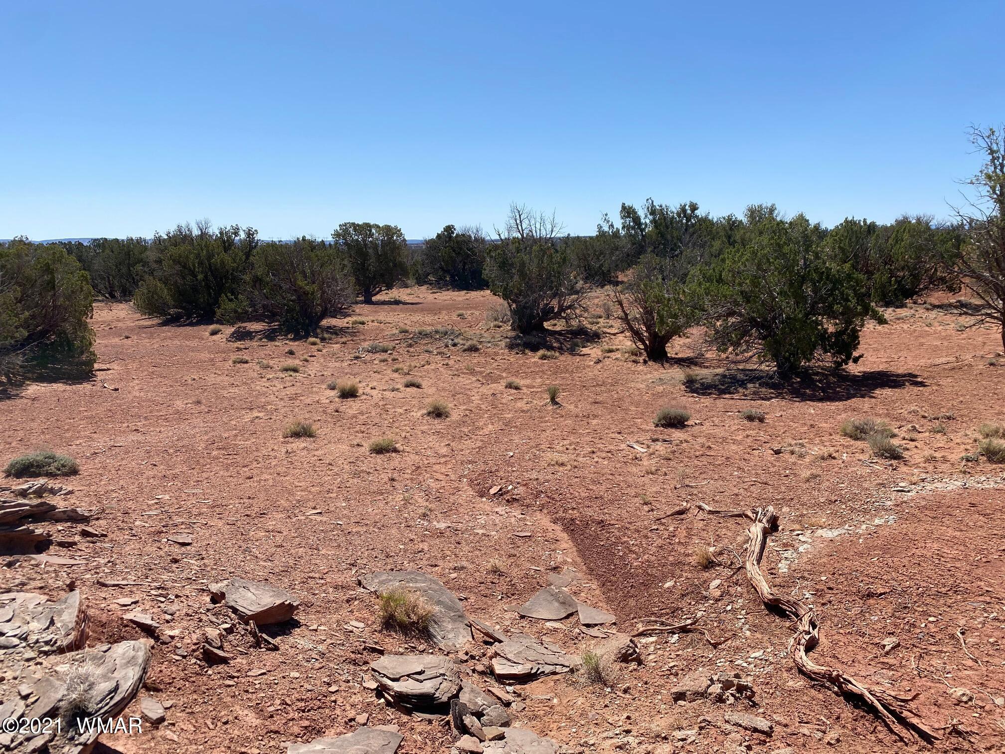 1376 R5270 (hunt Road), Unit 9 Concho, AZ 85924 - Photo 3 of 7