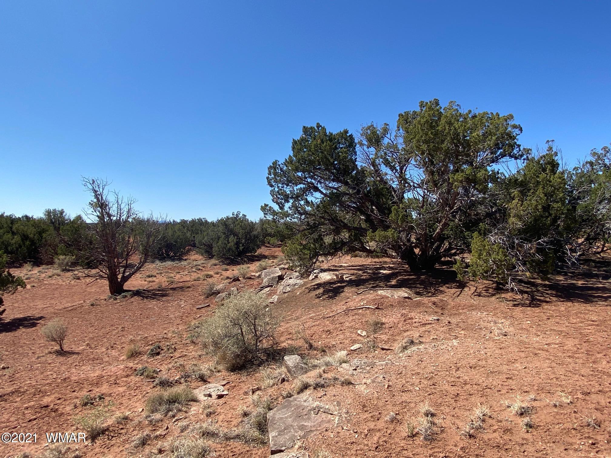 1376 R5270 (hunt Road), Unit 9 Concho, AZ 85924 - Photo 4 of 7