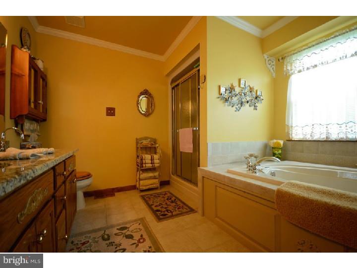 12 Stone Ridge Drive Mickleton, NJ 08056 - Photo 8 of 19 Master Bathroom