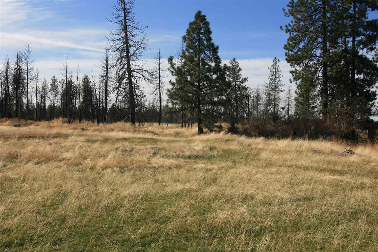 Nka West Houston Road, Unit 10 55ACRES Spokane, WA 99224 - Photo 1 of 10