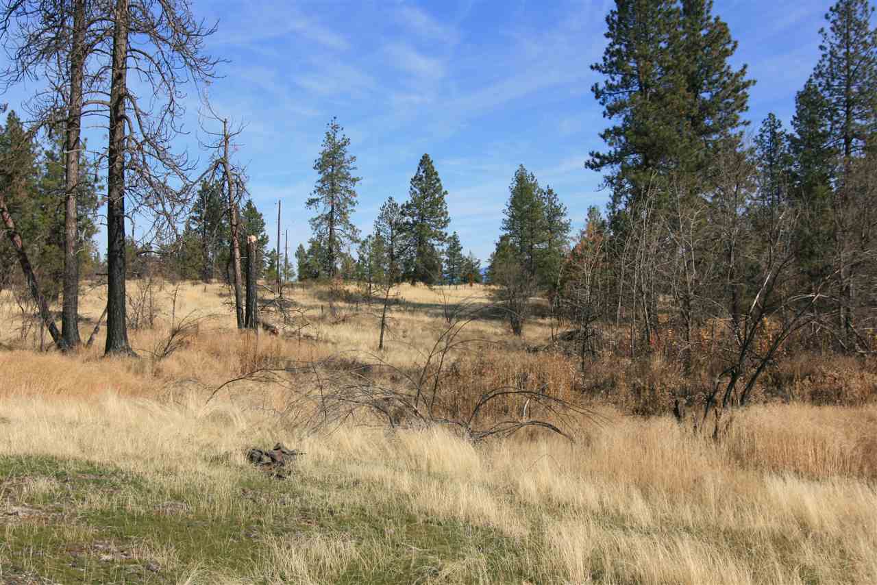 Nka West Houston Road, Unit 10 55ACRES Spokane, WA 99224 - Photo 2 of 10