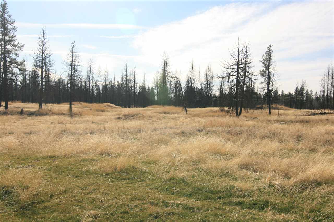 Nka West Houston Road, Unit 10 55ACRES Spokane, WA 99224 - Photo 3 of 10