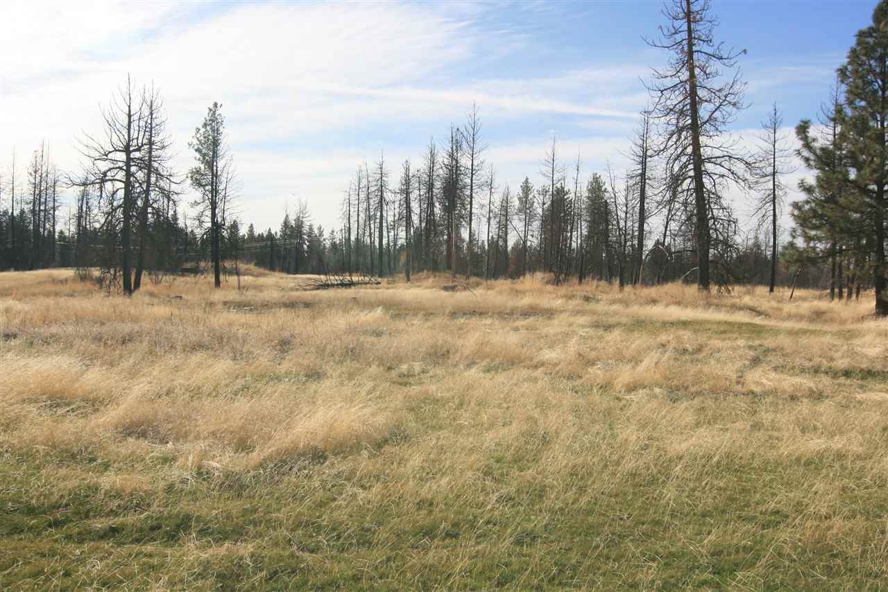 Nka West Houston Road, Unit 10 55ACRES Spokane, WA 99224 - Photo 4 of 10