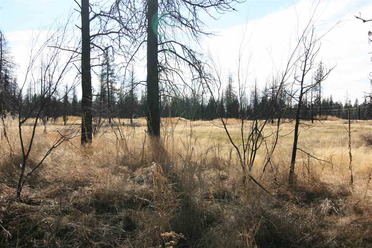 Nka West Houston Road, Unit 10 55ACRES Spokane, WA 99224 - Photo 6 of 10