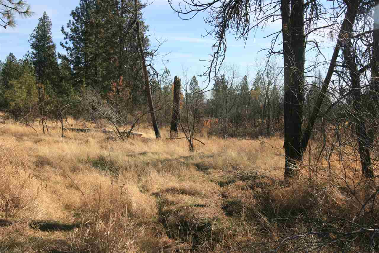 Nka West Houston Road, Unit 10 55ACRES Spokane, WA 99224 - Photo 7 of 10