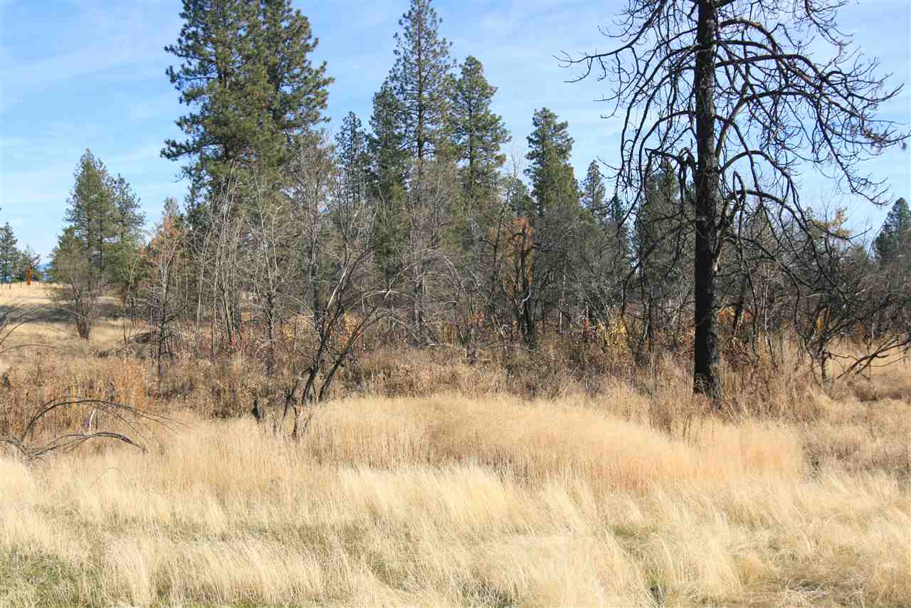 Nka West Houston Road, Unit 10 55ACRES Spokane, WA 99224 - Photo 8 of 10