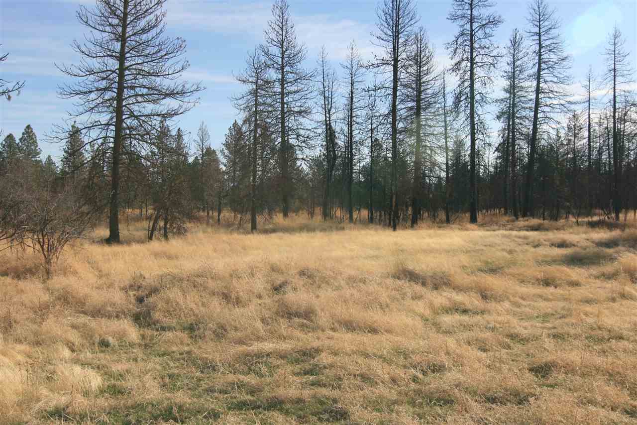 Nka West Houston Road, Unit 10 55ACRES Spokane, WA 99224 - Photo 9 of 10