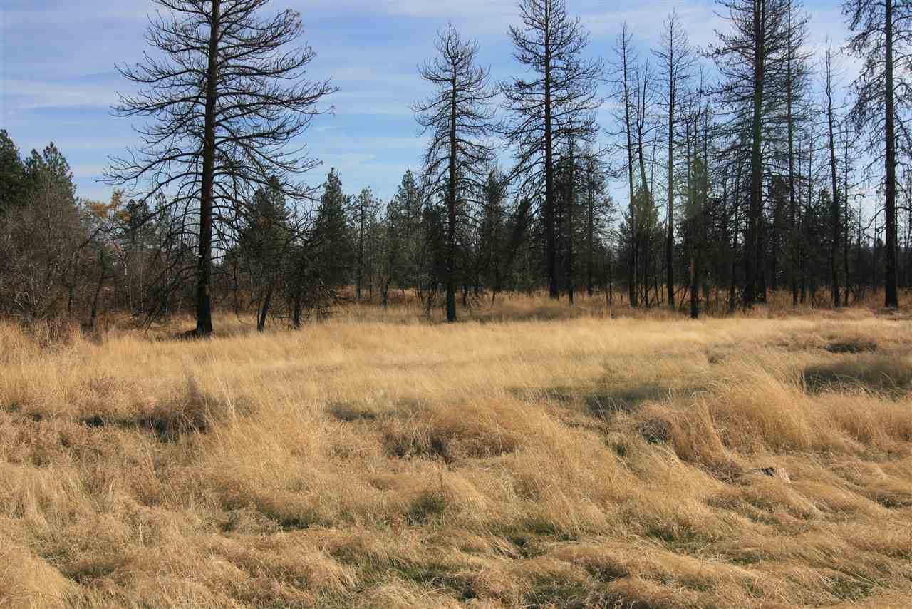 Nka West Houston Road, Unit 10 55ACRES Spokane, WA 99224 - Photo 10 of 10