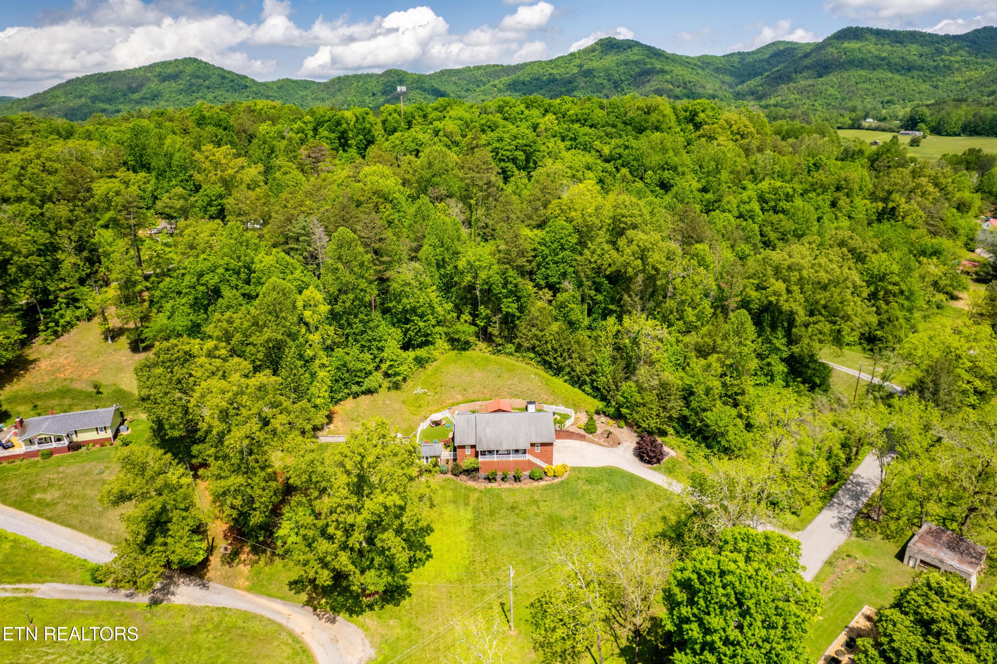 349 Rudd Hollow Road Townsend, TN 37882 - Photo 47 of 52 a view of a yard with a tree