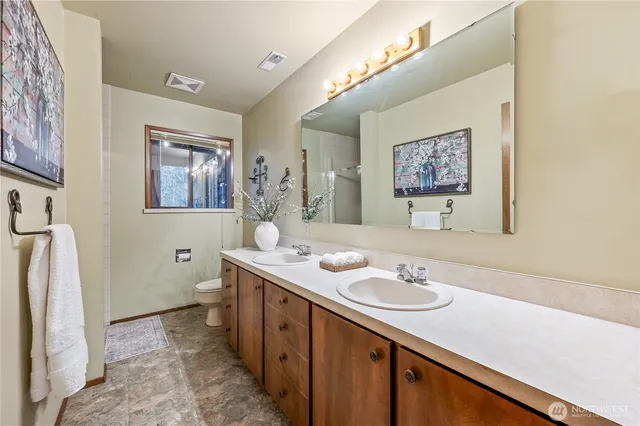 a bathroom with a sink a toilet a mirror and vanity