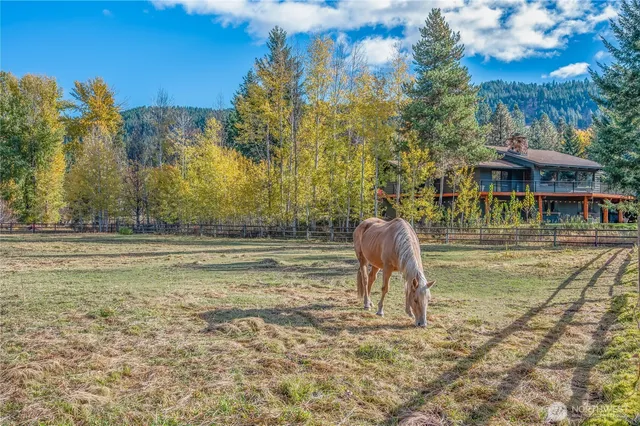 a backyard of a house with lots of green space