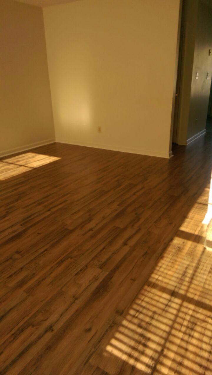 104 Simbas Path Georgetown, KY 40324 - Photo 5 of 8 Photo 5