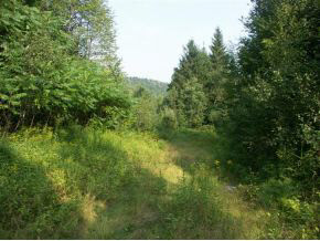2603 Dowsville Road Duxbury, VT 05660 - Photo 5 of 14