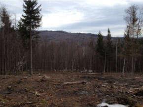 2603 Dowsville Road Duxbury, VT 05660 - Photo 7 of 14
